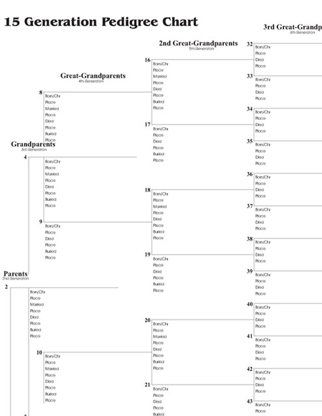 15 Generation Pedigree Chart Stevenson Genealogy Copy Center L L C
