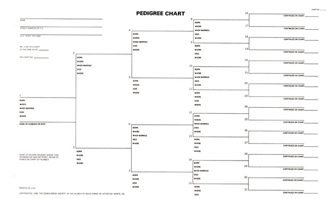 Pedigree Chart, 5 generation, legal size
